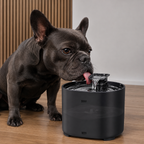 Automatic Pet Water Fountain With Dual Flow Modes Furlouve
