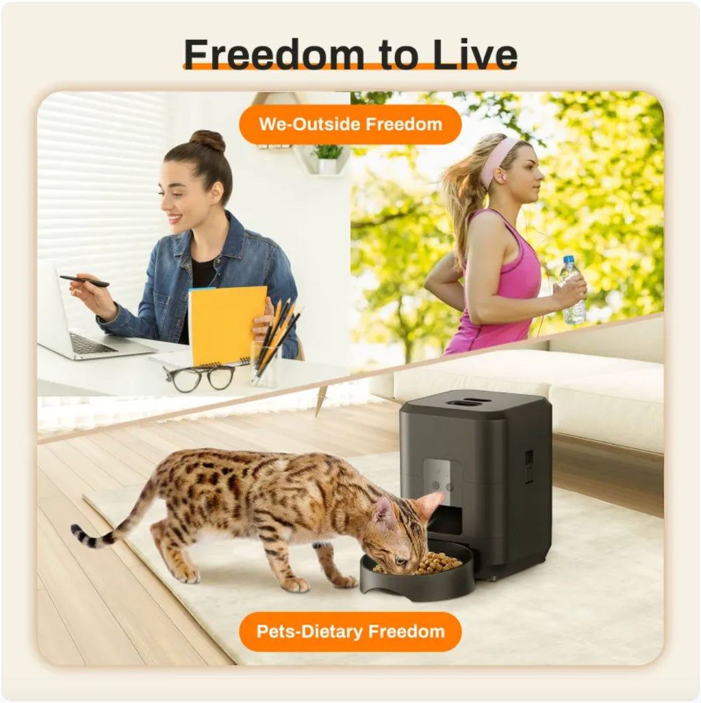 Furlouve black automatic pet feeder with timer and app control, feeding a cat. Dual power mode.