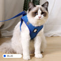 Furlouve blue breathable mesh cat harness with adjustable webbing for escape-proof outdoor adventures.