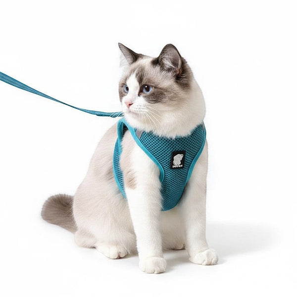 Furlouve teal breathable mesh cat harness with leash, escape-proof design for outdoor adventures.