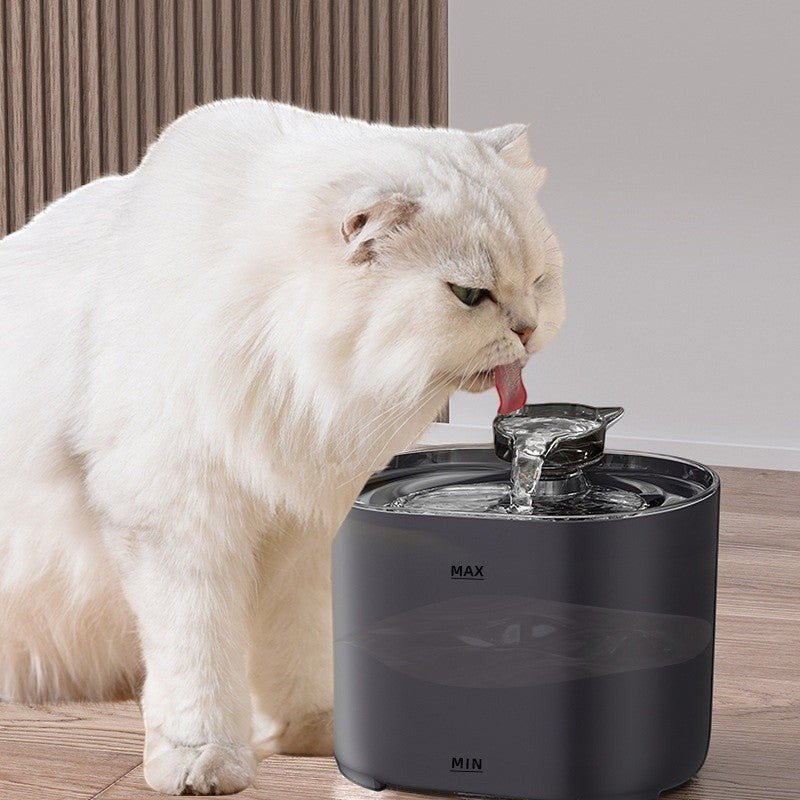 Furlouve automatic cat water fountain in black, featuring a circulating filtration system and encouraging hydration.