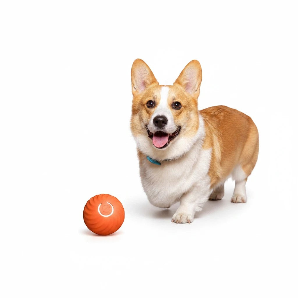 Furlouve orange durable rubber dog chew ball toy with textured surface, next to a happy Corgi dog.